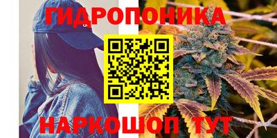 трава Ирбит