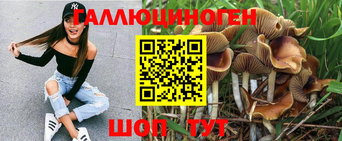 Галлюциногенные грибы прущие грибы  Псилоцибиновые грибы Magic Shrooms  Красный Сулин  магазин    Вход с VPN 